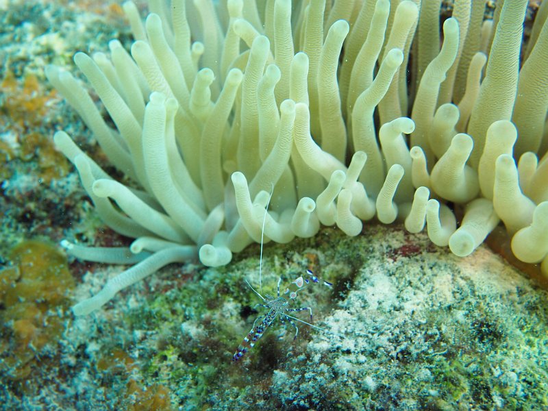 Curacao 04-12 238.JPG